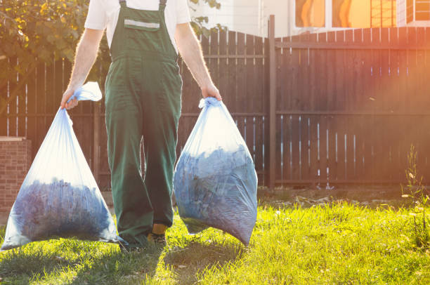 Best Dumpster Rental Services  in Buenaventura Lakes, FL